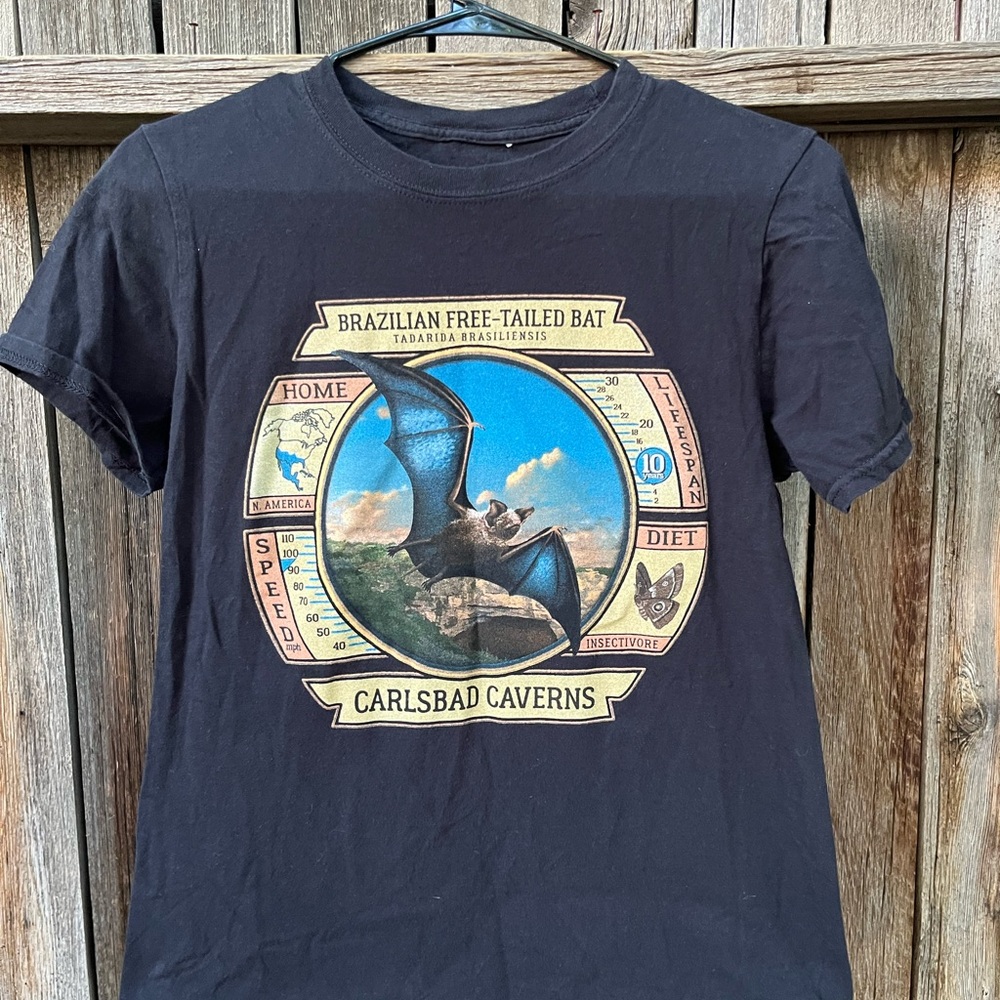 Retro BATS 🦇 Carlsbad Caverns Black Graphic T-Shirt Halloween Tshirt